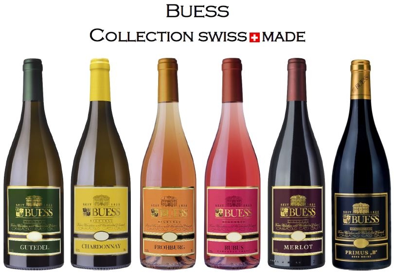 buess collection gutedel, chardonnay, frohburg, rubus und merlot bei Buess Weinbau und Weinhandel AG Sissach Weingeschäft und Vinothek