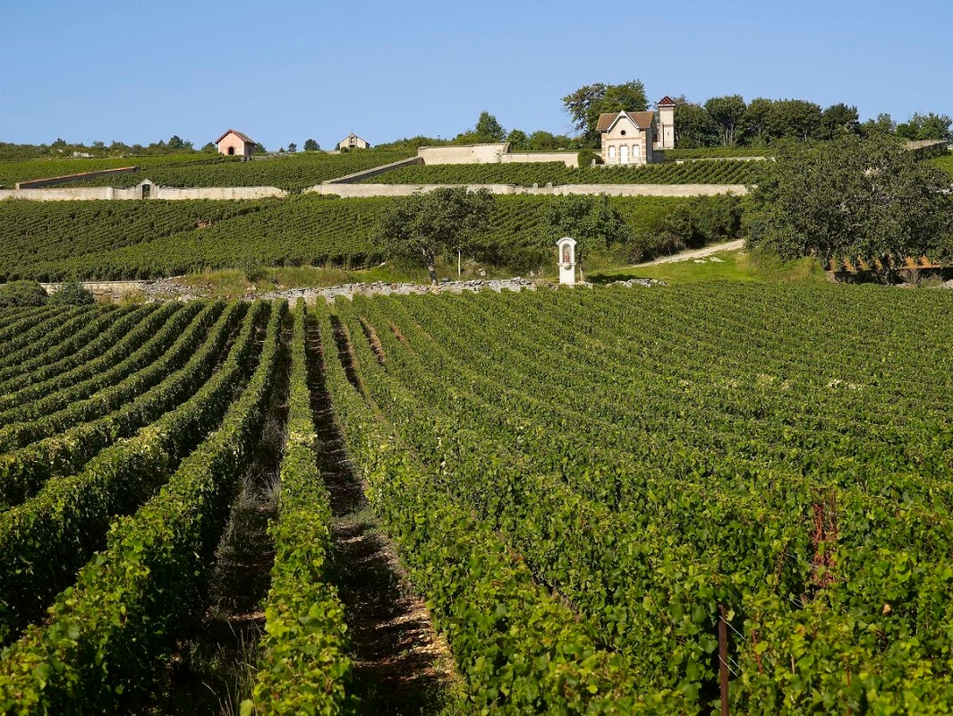 Meursault AOC JF Protheau bei Buess Weinbau und Weinhandel AG Sissach und im VinOptimum Basel