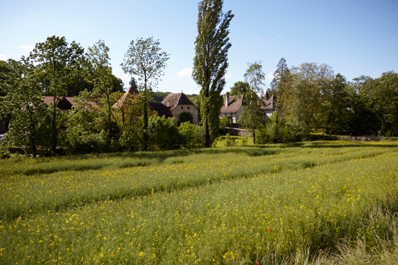 chateau souaillon in St. Blaise am Neuenburgersee das Weingut mit Barockgarten seit 1717
