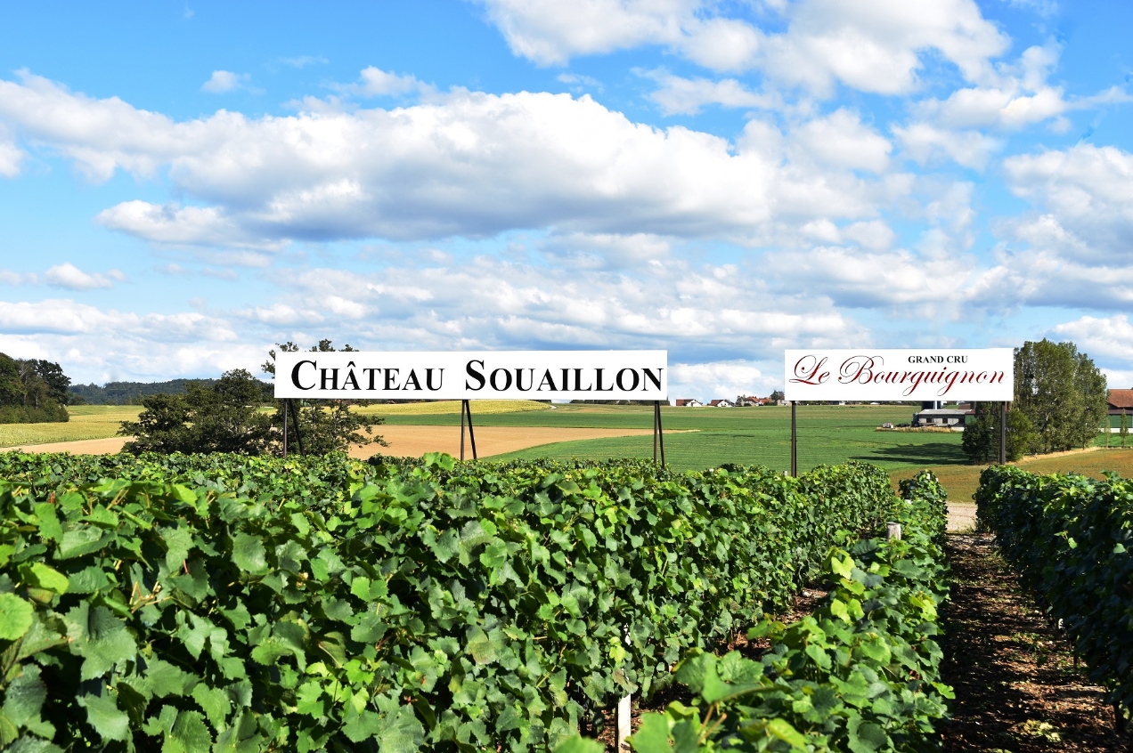 Le Bourguignon der burgundigste Schweizer Pinot Noir Château Souaillon St. Blaise Neuchâtel