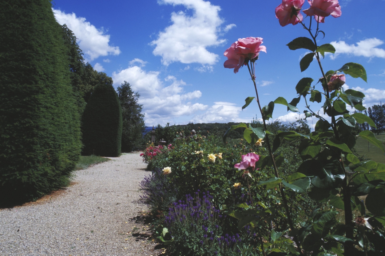 chateau souaillon in St. Blaise am Neuenburgersee das Weingut mit Barockgarten seit 1717