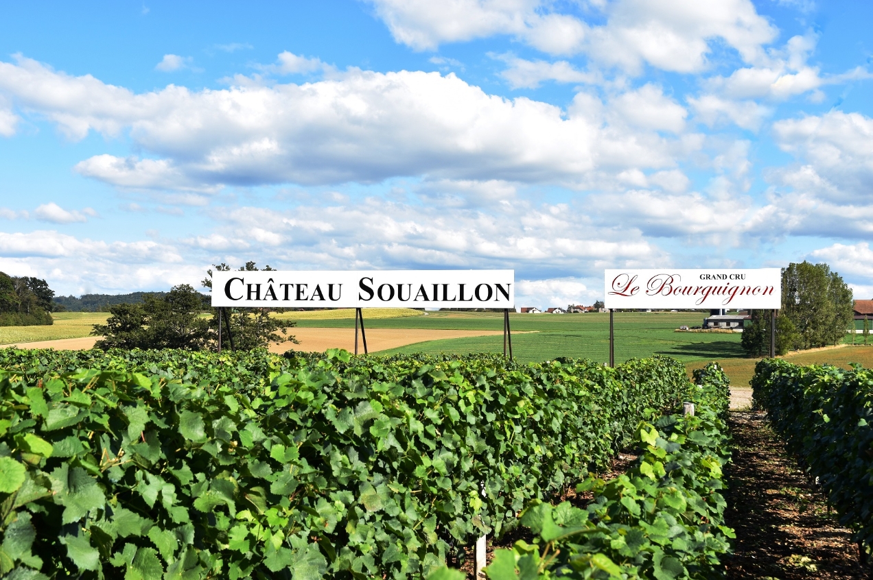 Chateau Souaillon in St. Blaise und champreveyres älteste Weinbaugebiet in der Region Neuenburg