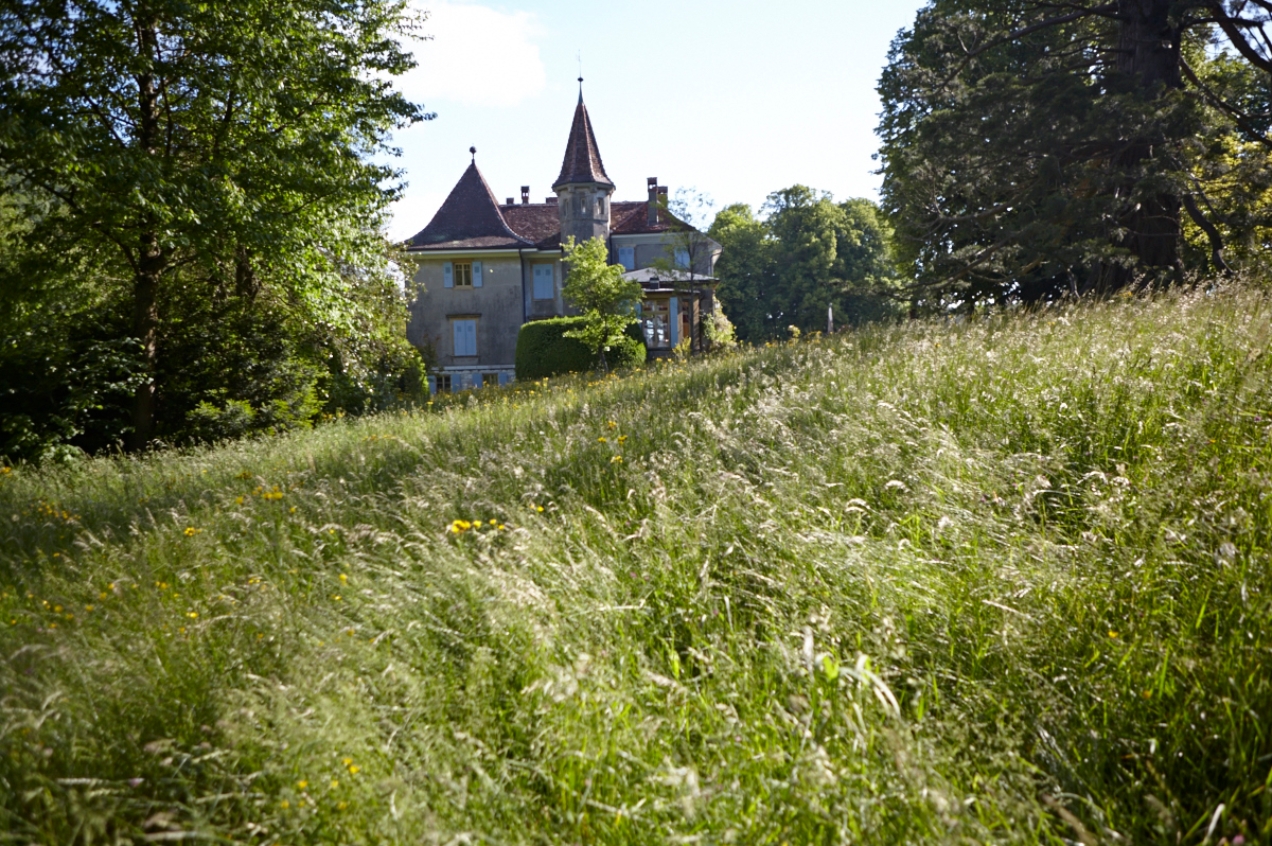 chateau souaillon in St. Blaise am Neuenburgersee das Weingut mit Barockgarten seit 1717