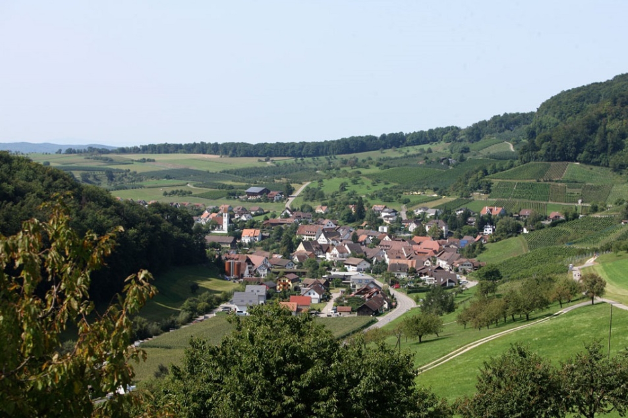 Maisprach und Buus Weinbaugebiet Baselland und Eigenkelterung Buess Weinbau und Weinhandel AG Sissach